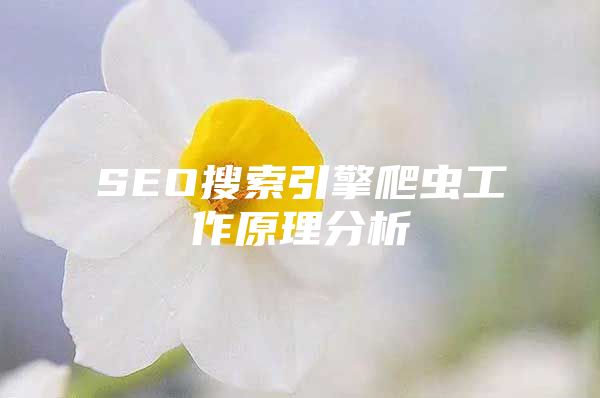 SEO搜索引擎爬虫工作原理分析