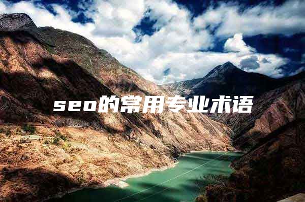 seo的常用专业术语