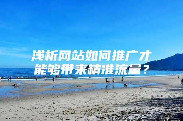 浅析网站如何推广才能够带来精准流量？