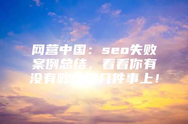 网营中国：seo失败案例总结，看看你有没有败在这几件事上！