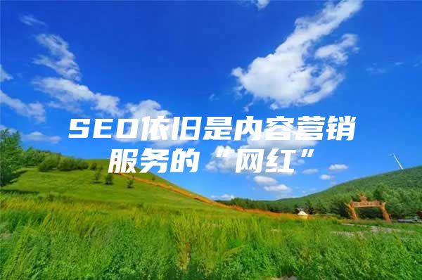 SEO依旧是内容营销服务的“网红”