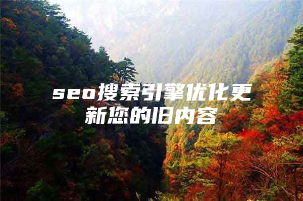 seo搜索引擎优化更新您的旧内容