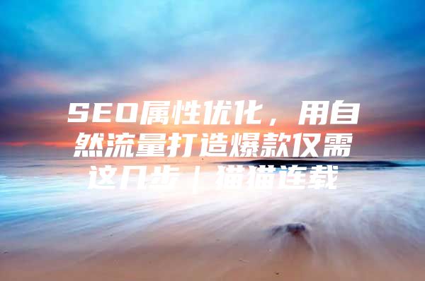 SEO属性优化，用自然流量打造爆款仅需这几步｜猫猫连载