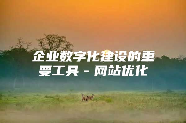 企业数字化建设的重要工具－网站优化
