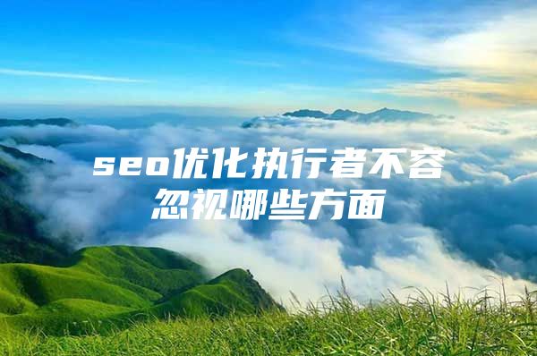 seo优化执行者不容忽视哪些方面