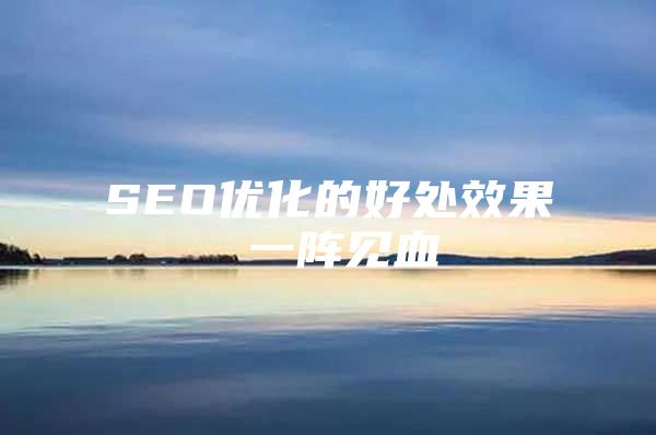 SEO优化的好处效果 一阵见血