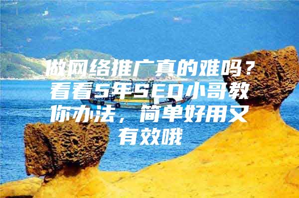 做网络推广真的难吗？看看5年SEO小哥教你办法，简单好用又有效哦