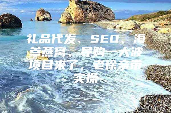 礼品代发、SEO、海参燕窝、导购一大波项目来了，老徐亲带实操