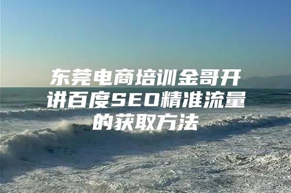 东莞电商培训金哥开讲百度SEO精准流量的获取方法