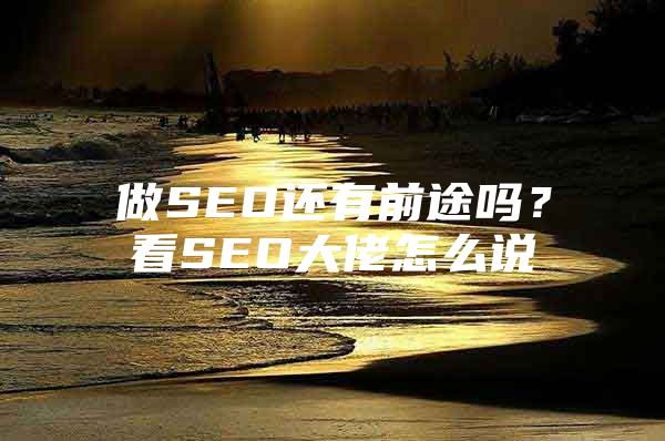 做SEO还有前途吗？看SEO大佬怎么说