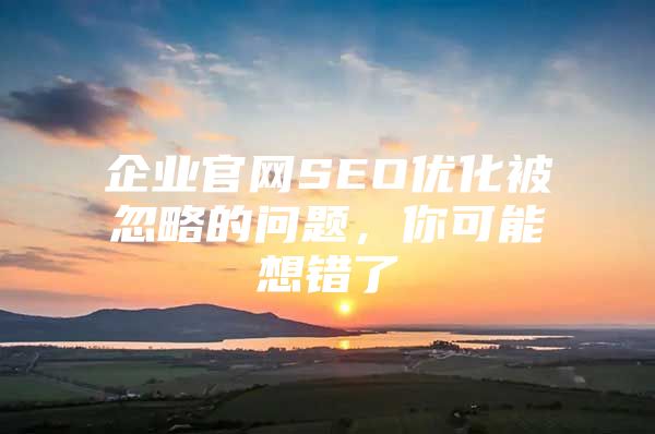 企业官网SEO优化被忽略的问题，你可能想错了