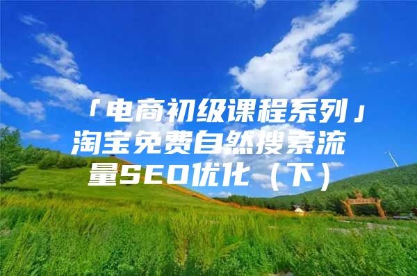 「电商初级课程系列」淘宝免费自然搜索流量SEO优化(下)