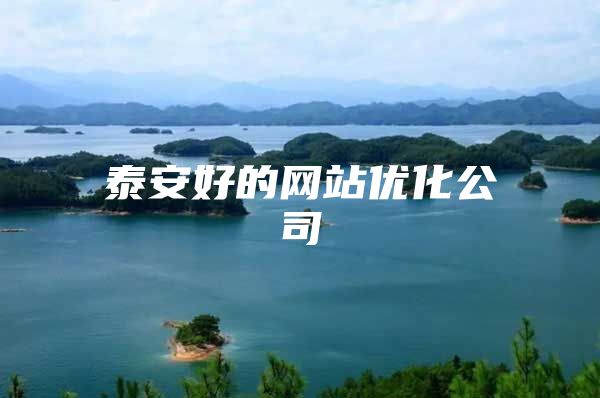 泰安好的网站优化公司