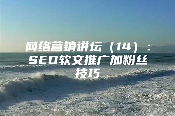 网络营销讲坛（14）：SEO软文推广加粉丝技巧
