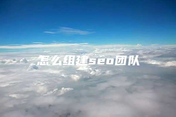 怎么组建seo团队