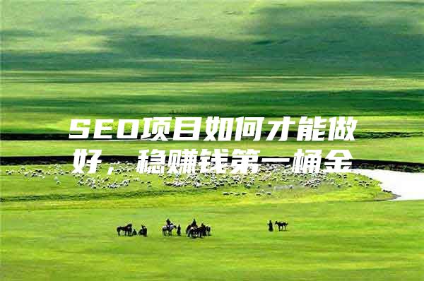 SEO项目如何才能做好，稳赚钱第一桶金