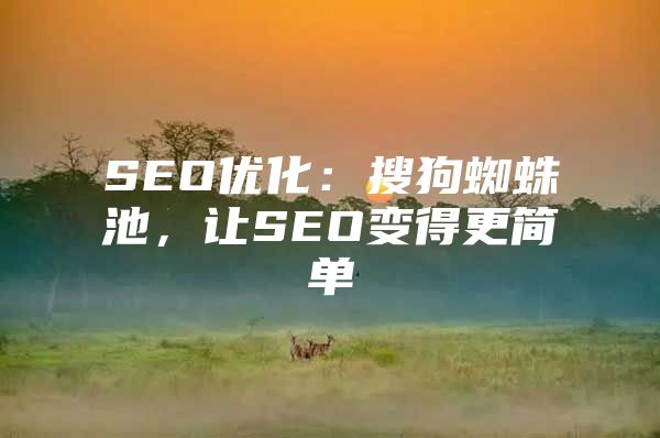 SEO优化：搜狗蜘蛛池，让SEO变得更简单