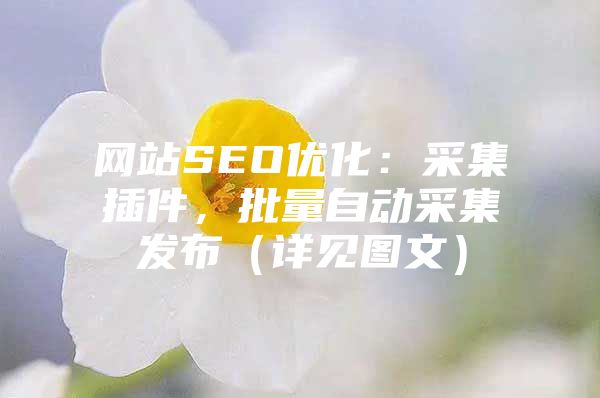 网站SEO优化：采集插件，批量自动采集发布（详见图文）