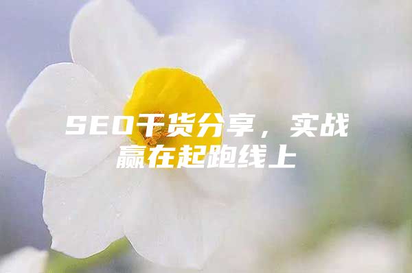 SEO干货分享，实战赢在起跑线上