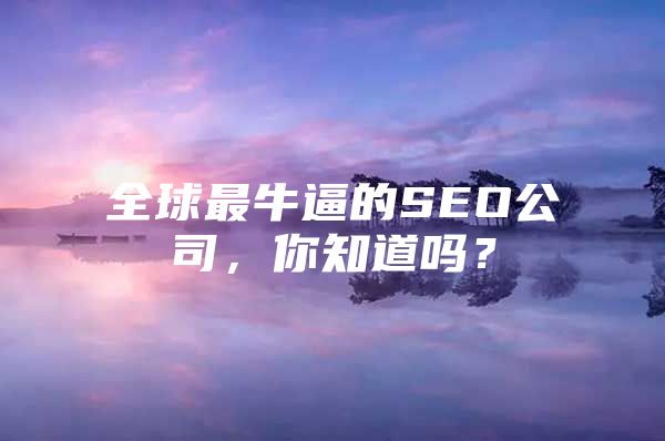 全球最牛逼的SEO公司，你知道吗？