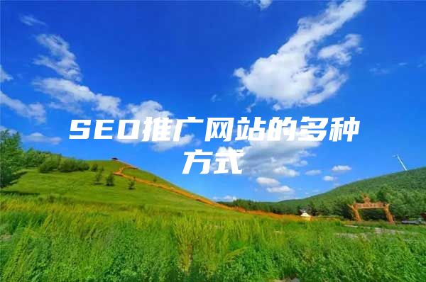 SEO推广网站的多种方式