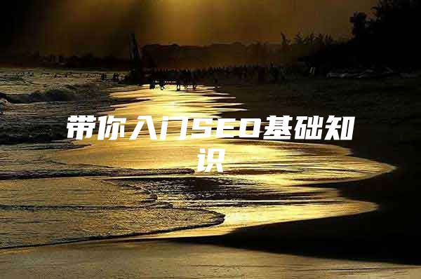 带你入门SEO基础知识