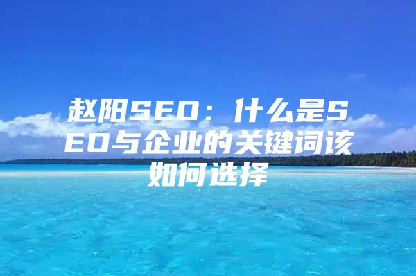 赵阳SEO：什么是SEO与企业的关键词该如何选择