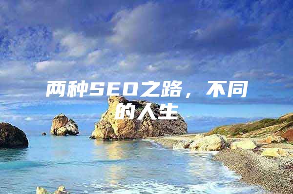 两种SEO之路，不同的人生