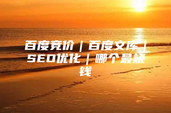 百度竞价｜百度文库｜SEO优化｜哪个最烧钱