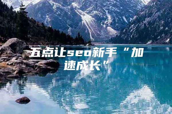 五点让seo新手“加速成长”