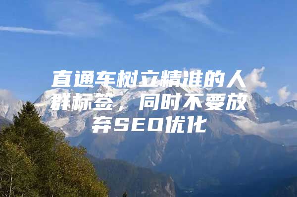 直通车树立精准的人群标签，同时不要放弃SEO优化