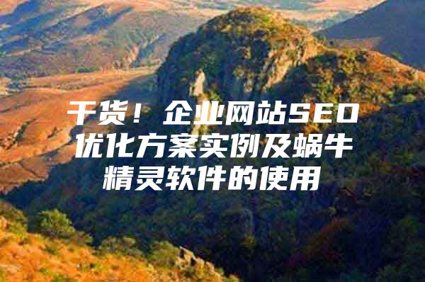 干货！企业网站SEO优化方案实例及蜗牛精灵软件的使用