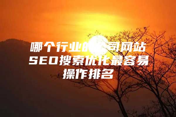 哪个行业的公司网站SEO搜索优化最容易操作排名
