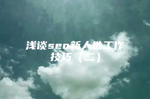 浅谈seo新人选工作技巧（二）