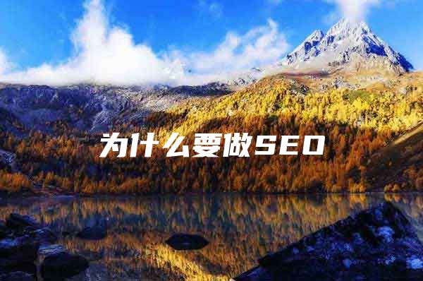 为什么要做SEO