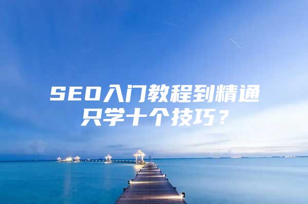 SEO入门教程到精通只学十个技巧？