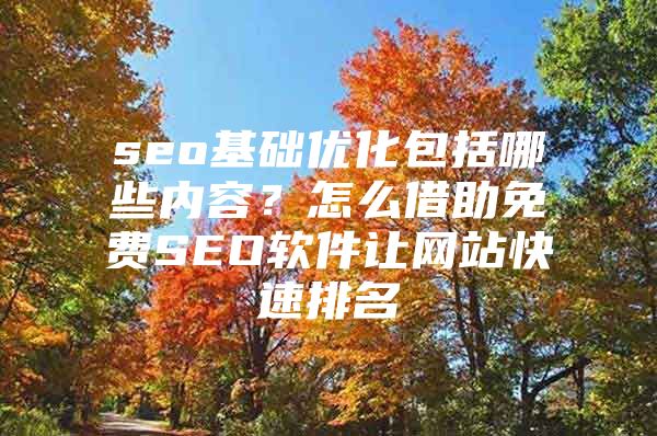 seo基础优化包括哪些内容？怎么借助免费SEO软件让网站快速排名