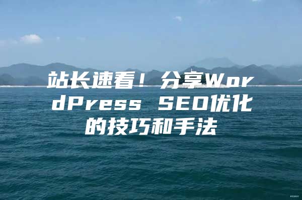 站长速看！分享WordPress SEO优化的技巧和手法