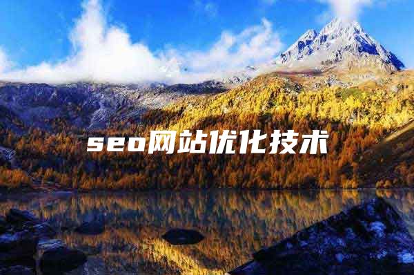 seo网站优化技术