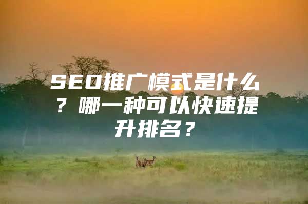 SEO推广模式是什么？哪一种可以快速提升排名？