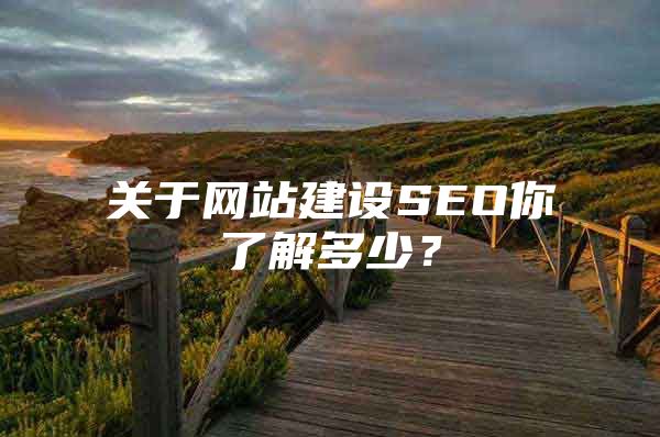 关于网站建设SEO你了解多少？