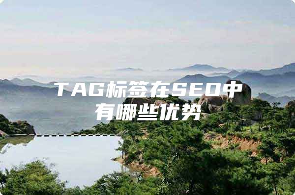 TAG标签在SEO中有哪些优势