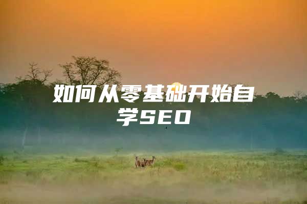 如何从零基础开始自学SEO