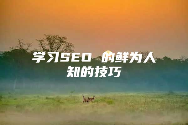 学习SEO 的鲜为人知的技巧
