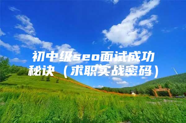 初中级seo面试成功秘诀（求职实战密码）