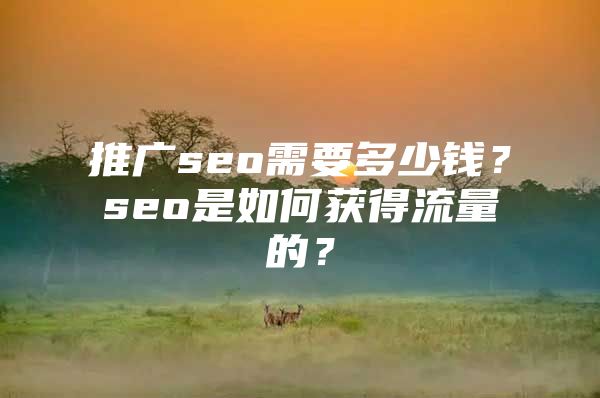 推广seo需要多少钱？seo是如何获得流量的？