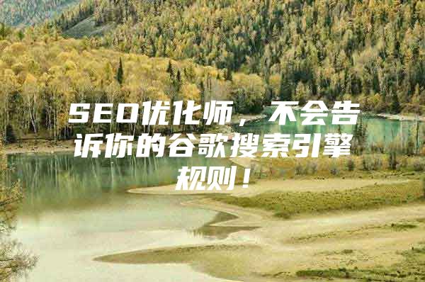 SEO优化师，不会告诉你的谷歌搜索引擎规则！