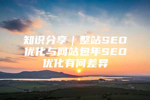 知识分享｜整站SEO优化与网站包年SEO优化有何差异