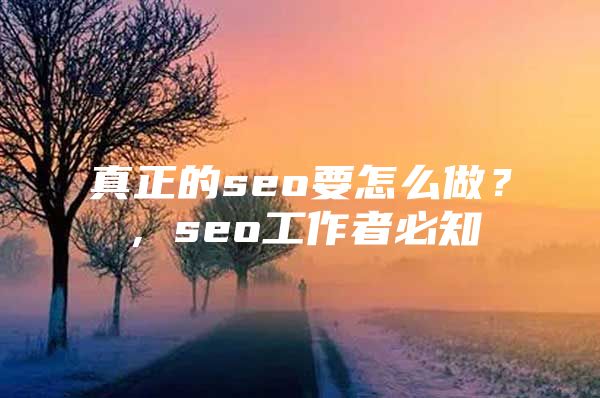 真正的seo要怎么做？，seo工作者必知