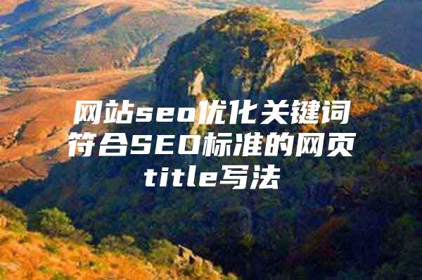网站seo优化关键词符合SEO标准的网页title写法